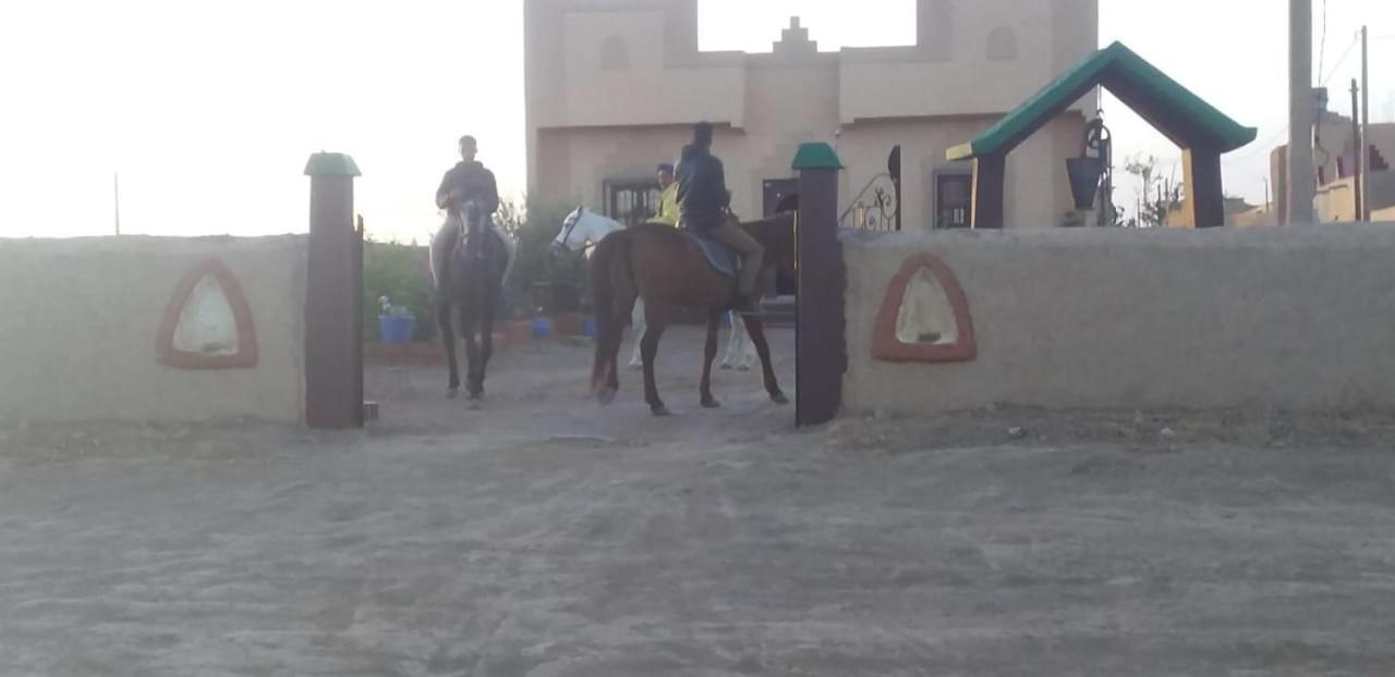 Maison Riad Tamarighte 梅尔祖卡 外观 照片